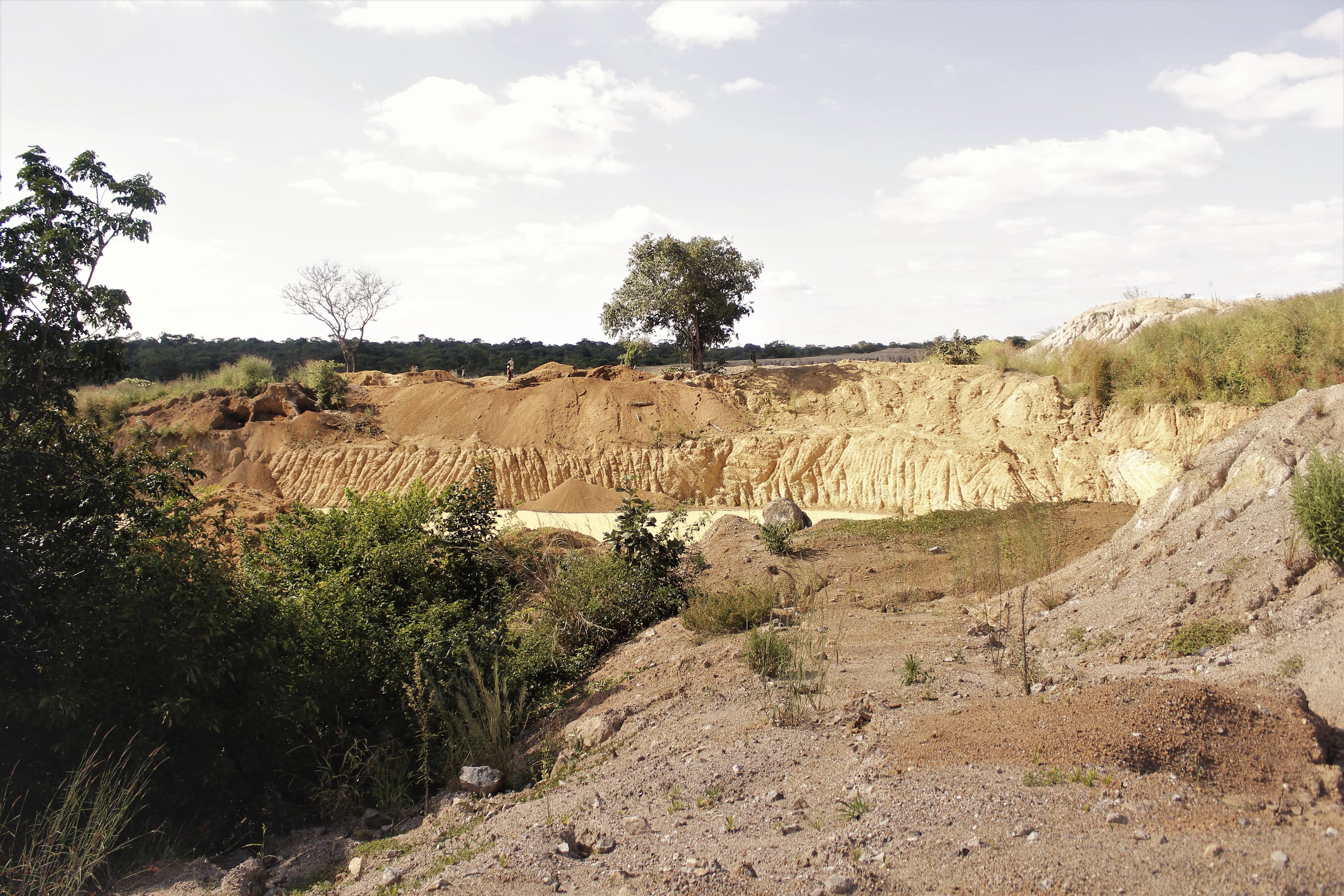 Care for Nature Zambia hero image
