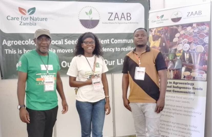 Volunteers working together in the field
